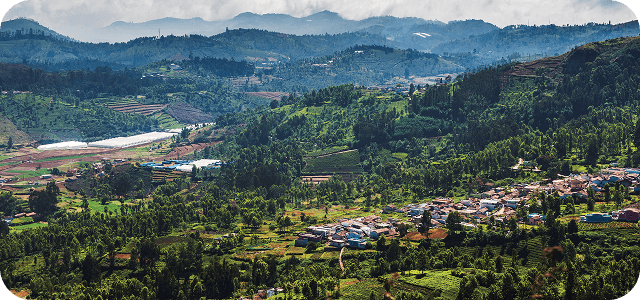 Ooty Vibes: Tea Gardens, Tranquility & Timeless Views