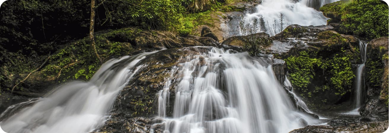 Coorg Diaries: A Misty Escape into Nature