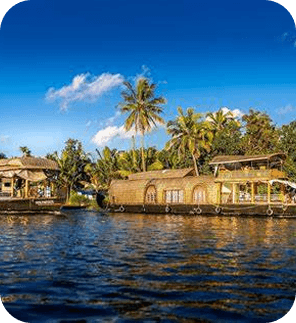 Kerala Escape: Backwaters, Beaches & Beyond