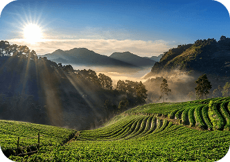 Coorg