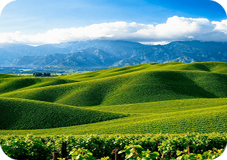 Ooty