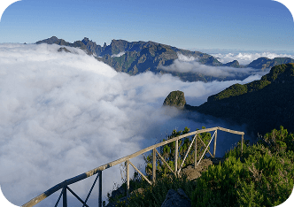 Kodaikanal